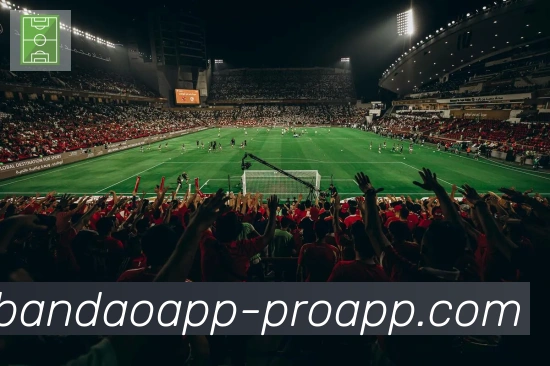 半岛体育appAPP 封面图