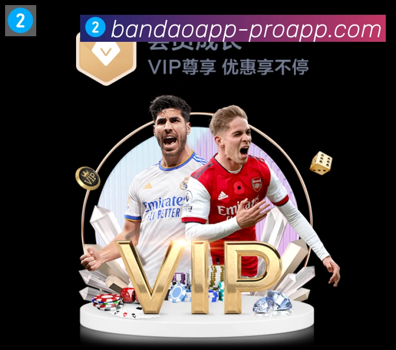 半岛体育app荣誉